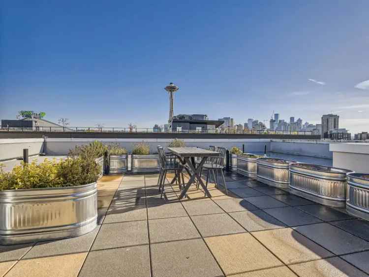 Rent Seattle Apartments with Stunning Views and Rooftop Terrace