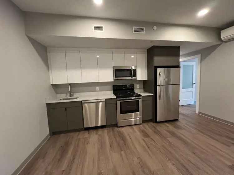 Rent Modern 3 Bedroom Apartment in Fenway with Upscale Features