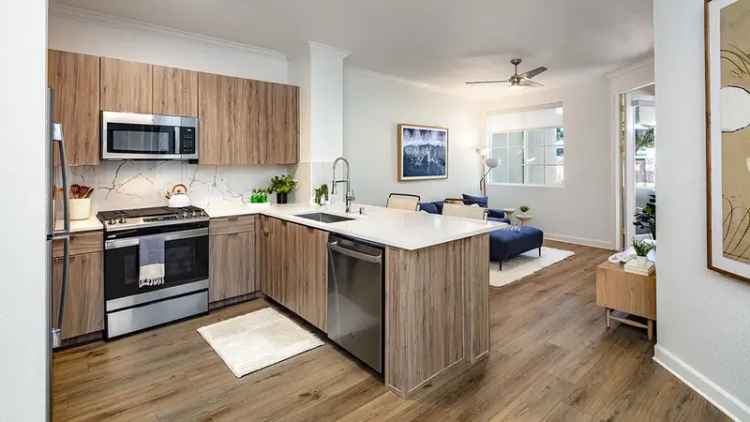 Rent Apartments in Milpitas with Pet-Friendly Options and Premium Amenities