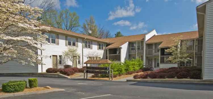 Rent Student Apartments Near ETSU with Great Amenities