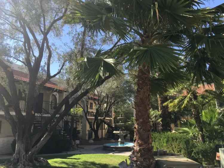 Rent Deluxe One Bedroom Apartment Near University of Arizona