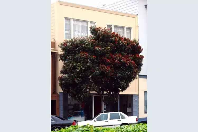 Buy Mixed Use Property in Central Richmond District San Francisco