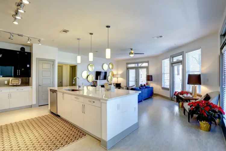 Rent Luxurious Apartments in Alpharetta with Pet-Friendly Community