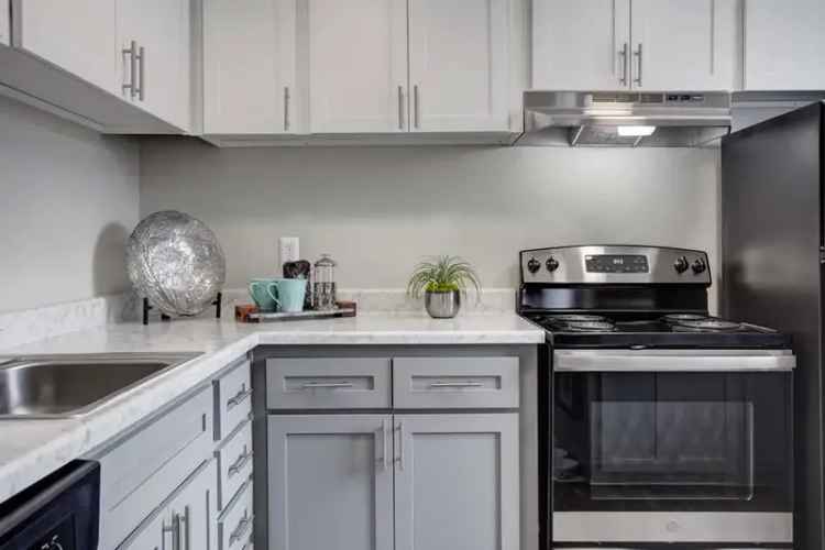 Rent Apartments in South Tempe with Resort-Style Amenities