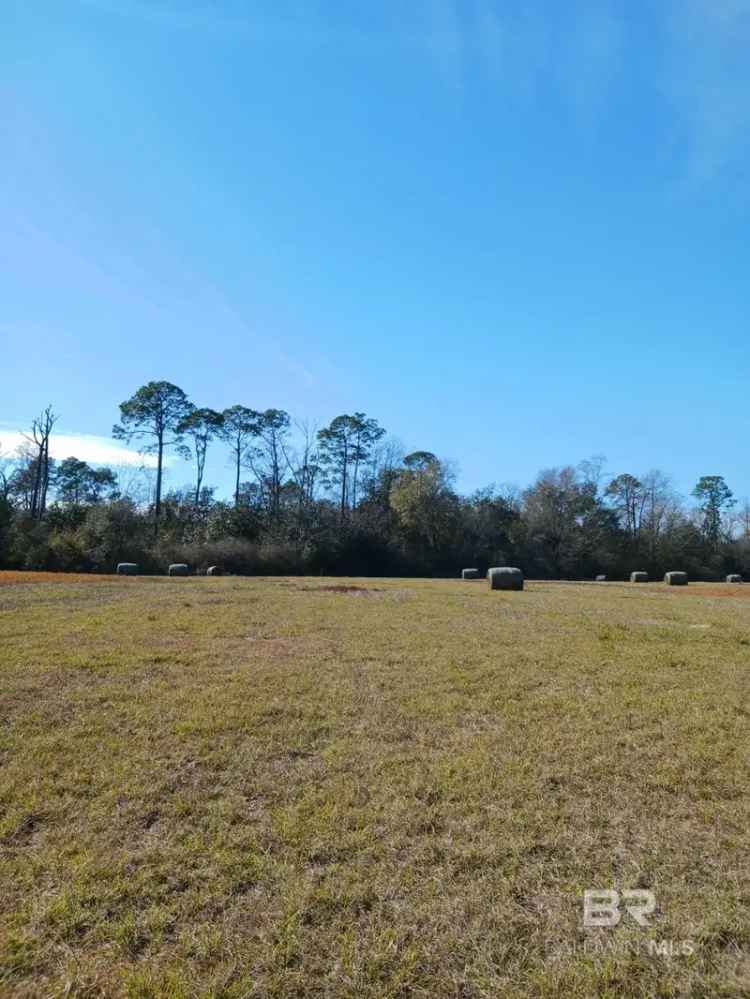 Land For Sale in Summerdale, Alabama