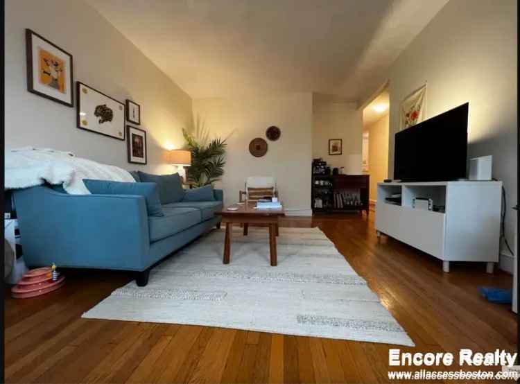 Rent Apartment Coolidge Corner Large Sunny Corner Unit