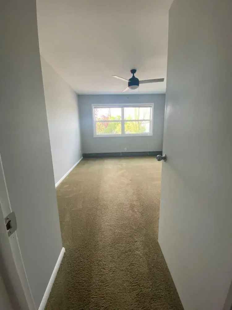 Rent Quiet Apartment Unit in Maple Plain with Fresh Renovations