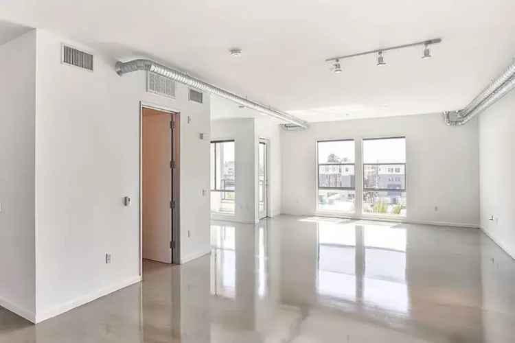 Rent Bright Contemporary Lofts in Downtown Long Beach with Amenities