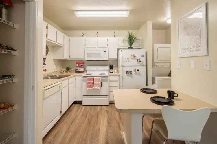 Rent Apartments in College Station with Amazing Amenities for Students