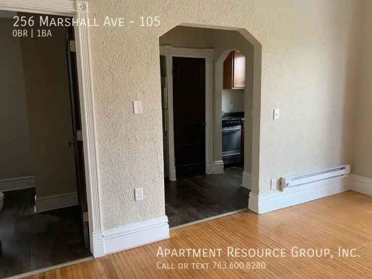 Rent Studio Apartment in Downtown St. Paul with New Appliances and Pet Friendly