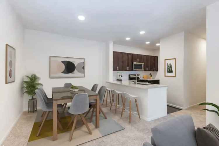 Rent Apartments in Ashburn with Modern Amenities and Natural Views