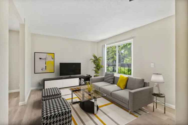 Rent Studio Apartments in San Rafael with Luxury Amenities