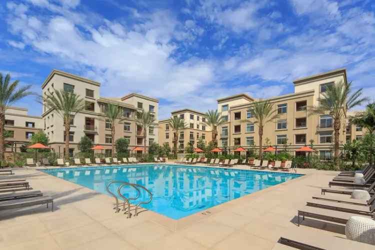 Rent Apartments in Centerpointe with Saltwater Pools and Google Fiber