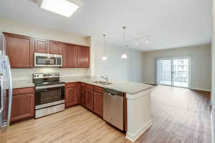 Rent Apartment in Brookhaven with Stylish Features and Great Amenities