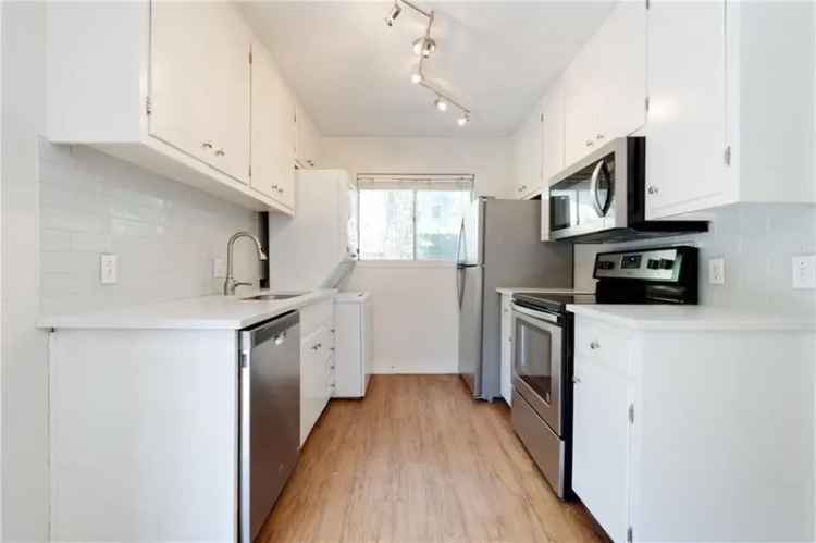 Rent 4 Bed 2 Bath House in North Campus with Modern Updates