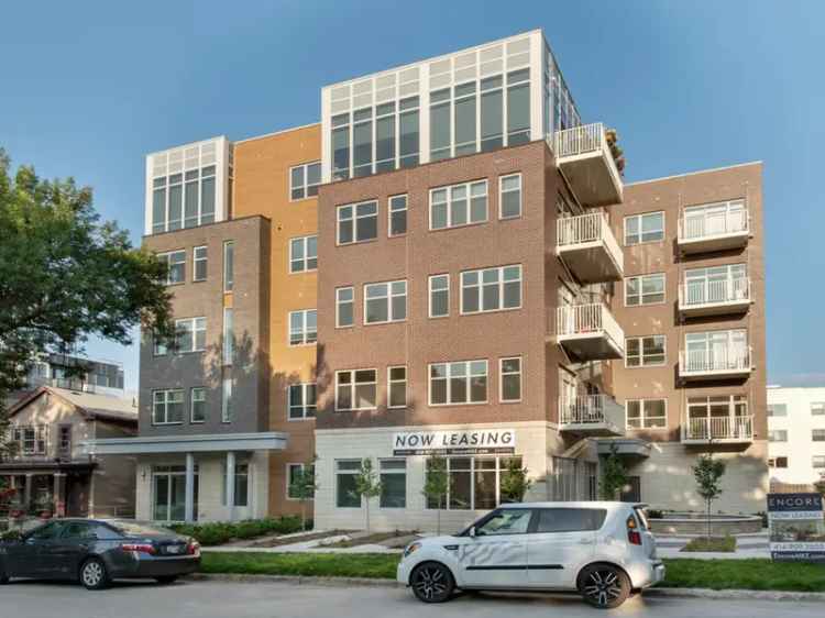 Rent Apartments in Milwaukee Featuring Modern Amenities and Pet Friendly Options