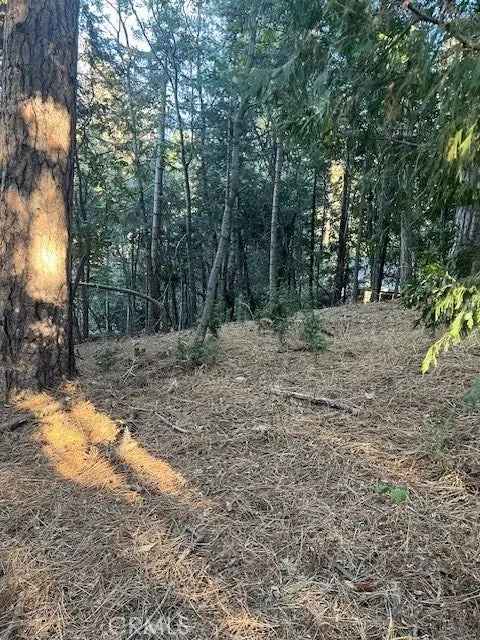 Land For Sale in Twin Peaks, California