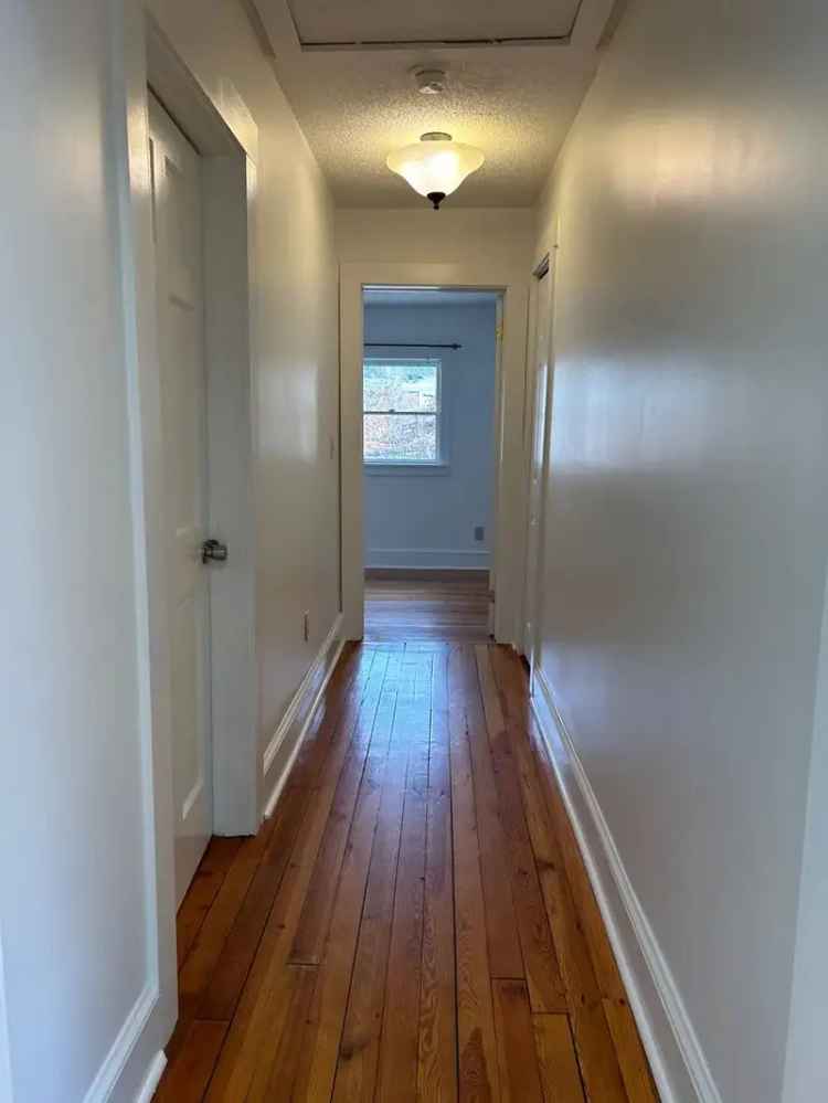 Rent 1920s House with Modern Features in Downtown AVL