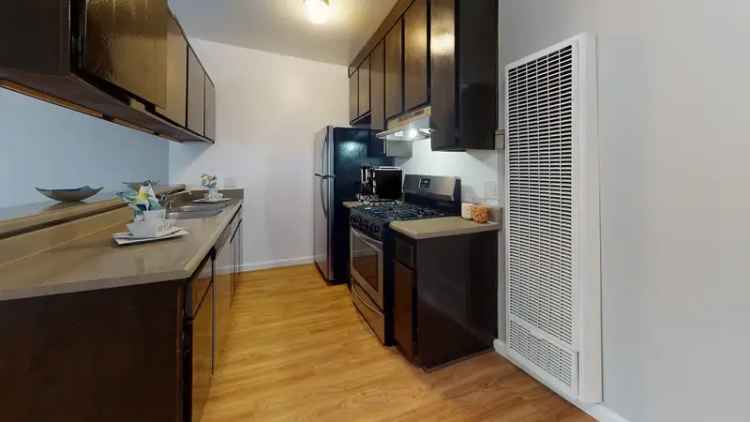 Rent Spacious Apartments Near Amenities with Upgraded Features