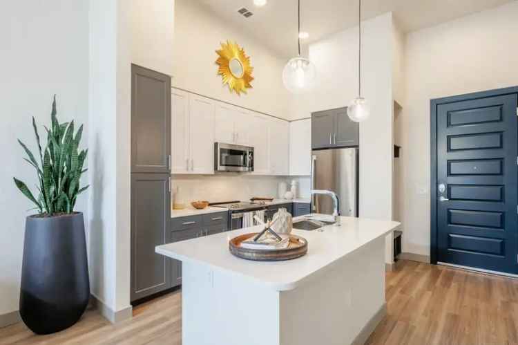 Rent Apartment in Denver with Modern Design and Vibrant Surroundings