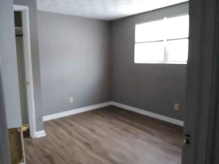 Rent 2 Bedroom Apartment in Carbondale with Modern Features