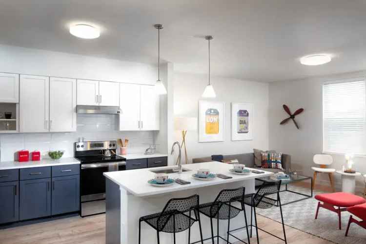 Rent Luxury Apartments near Boston with Pet-Friendly Features