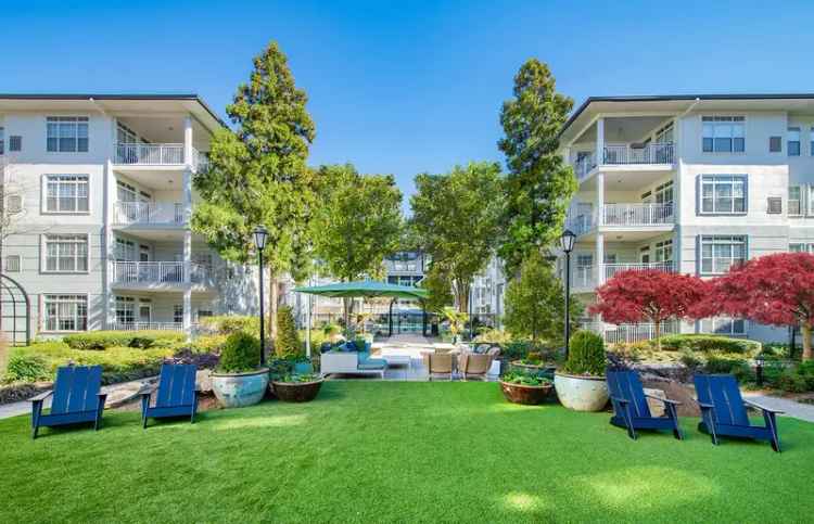 Rent Apartments in Brookhaven with Modern Features and Amenities