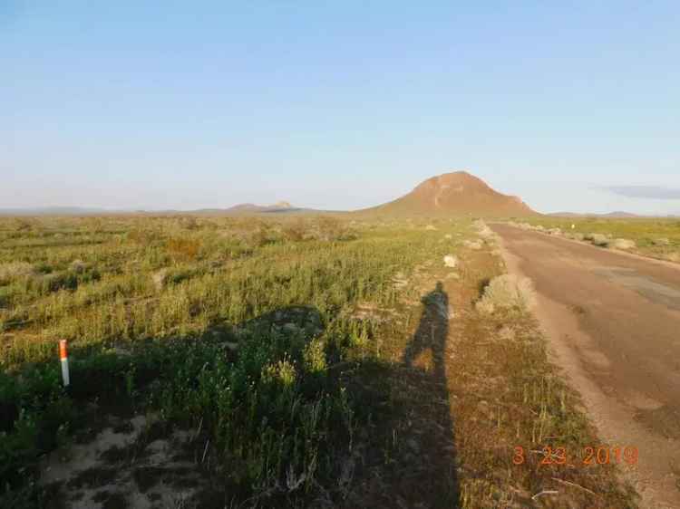 Land For Sale in California City, California