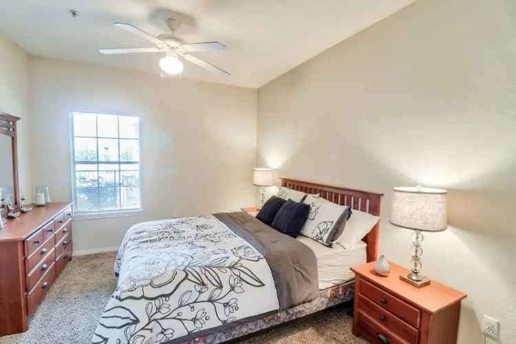 Rent Apartment in Cedar Park with Resort-Style Amenities and Schools