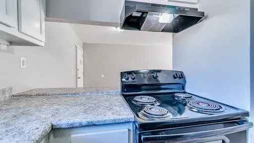 Rent Apartments in Duval County with Modern Amenities and Pet Friendly