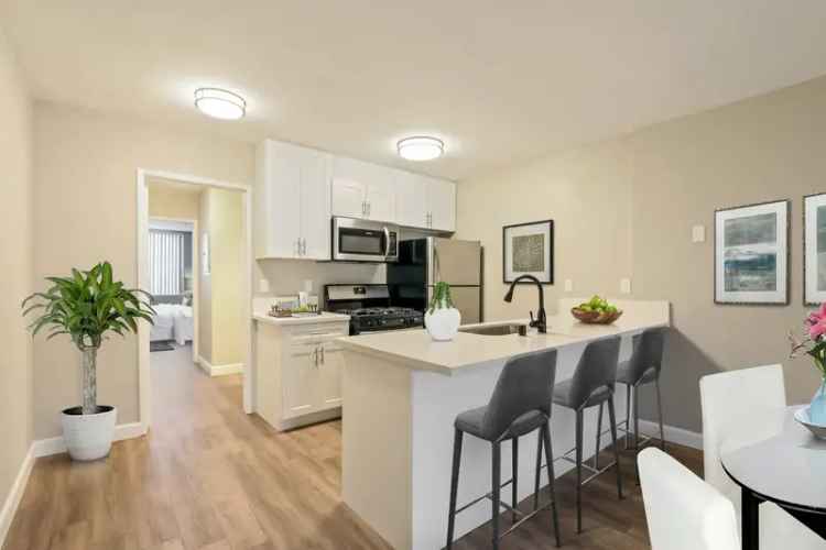 Rent Apartments in Glendale with Modern Features Near Shopping