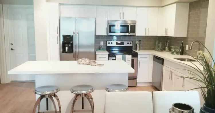 Rent Stylish Apartments in Plantation with Luxury Features and Clubhouse