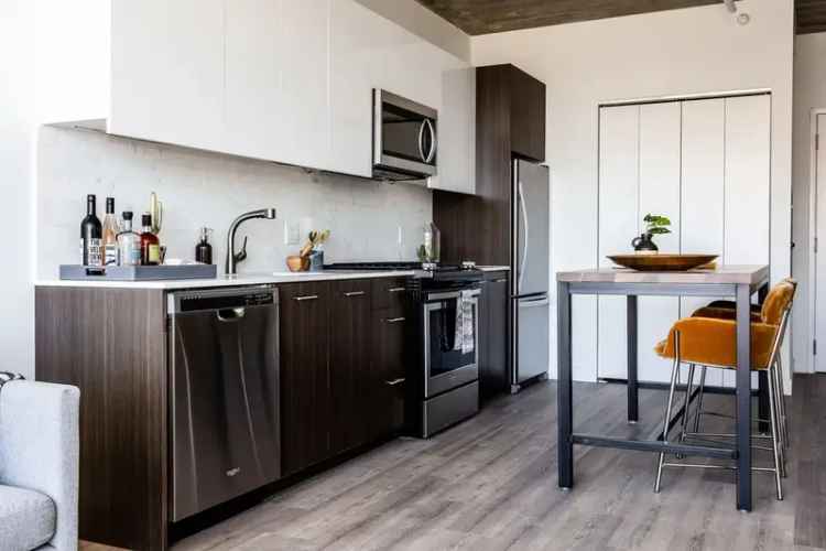 Luxury Apartments for Rent in Chicago Wicker Park with Skyline Views