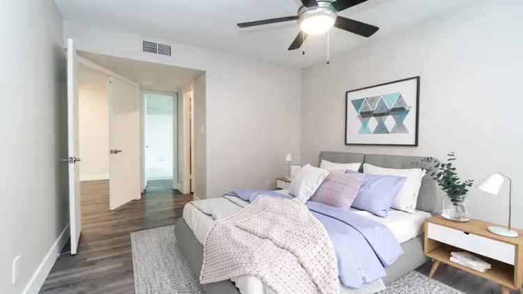 Rent Apartments in Scottsdale with Modern Finishes and Amenities