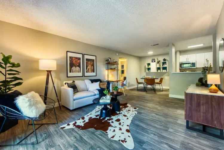 Rent Apartments in Tucson with Community Amenities Near Foothills Mall