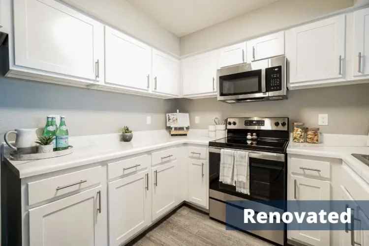 Rent Apartments in Moore OK with Great Amenities and Pet-Friendly Options