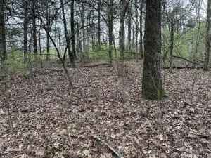 Land For Sale in Lost Creek, West Virginia