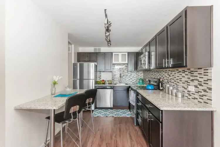 Rent Apartment in Downtown Chicago with Luxurious Amenities