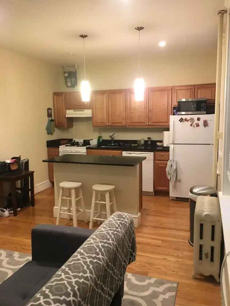 Rent Apartment Unit in Allston with Included Utilities and Cat-Friendly Policy