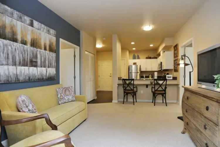 Rent Apartments at The Savoy 55 Active Adult Community with Premium Amenities