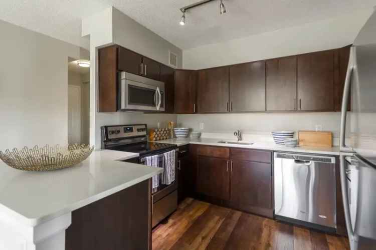 Rent Apartments in White Plains with Upscale Amenities and Pet Friendly