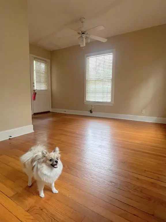 Rent Adorable Duplex in Rosedale with Wood Floors and Walk-In Closet