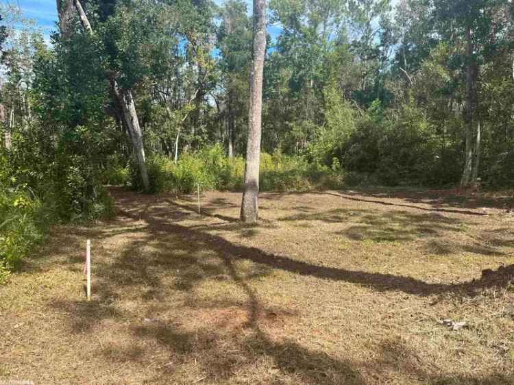 Build Your Dream Home on Miflin Creek Water Front Lot