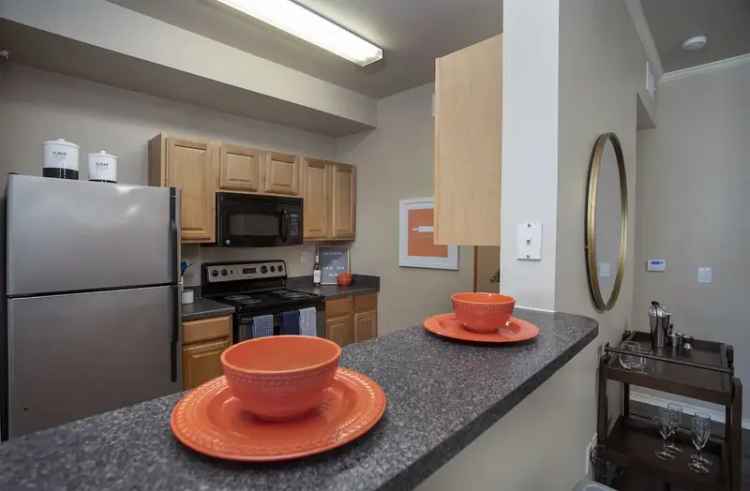 Rent Apartments in Tyler with Modern Amenities and Friendly Community