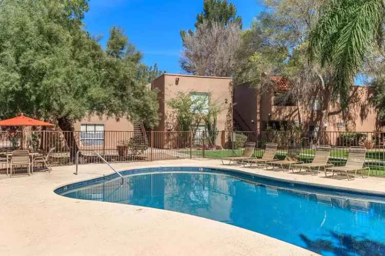 Rent Apartments in Tucson with Modern Features and Tranquil Atmosphere