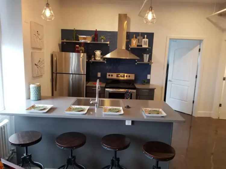 Rent Loft Apartments in Rochester with City Views and Great Amenities