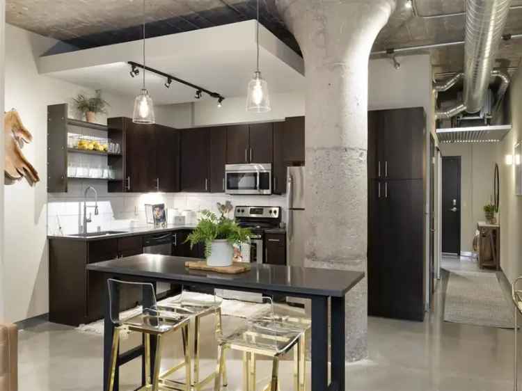 Rent Unique Warehouse Apartments in North Loop with Modern Style