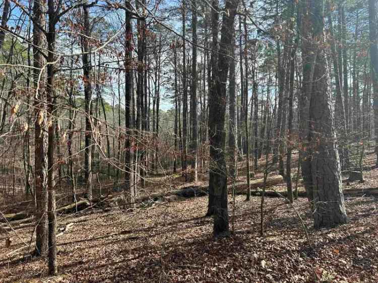 Land For Sale in Hot Springs Village, Arkansas