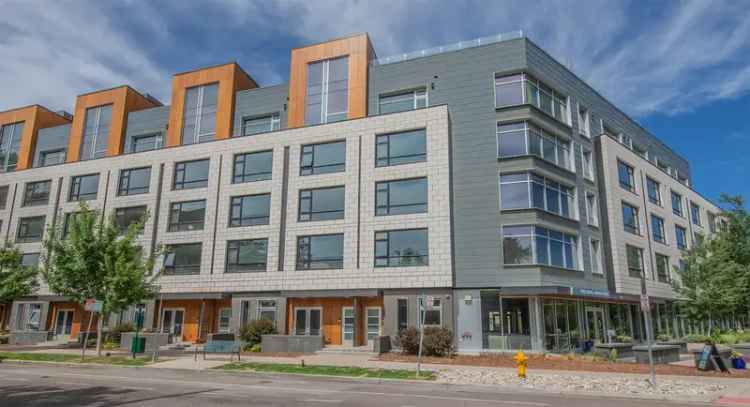 Rent Stylish Apartments in Denver with Comfort and Convenience