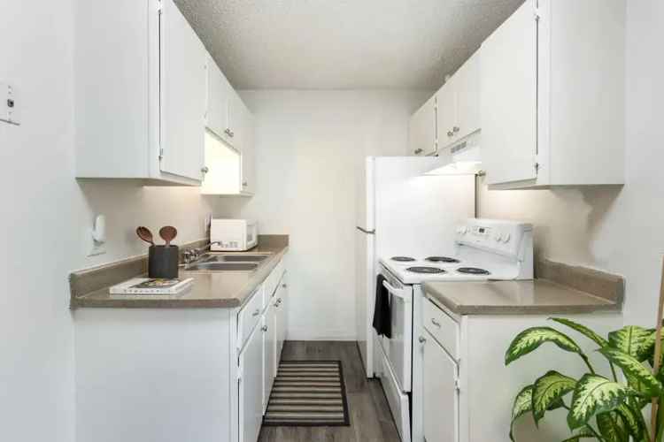 Rent Apartments in Aurora CO with Modern Amenities and Pet Friendly